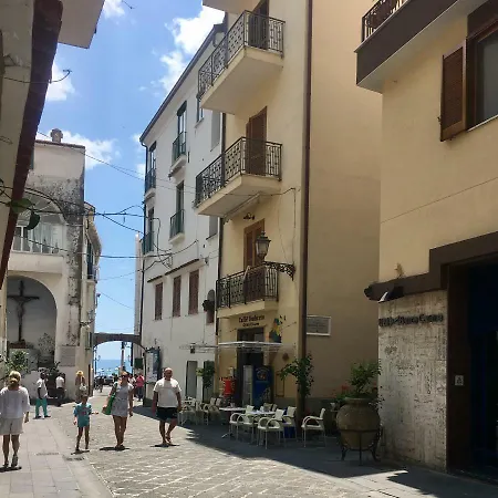 La Conchiglia *