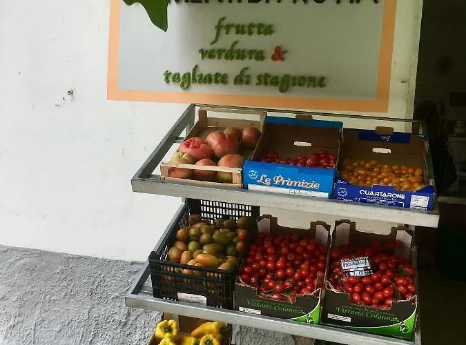 La Conchiglia Hébergement de vacances