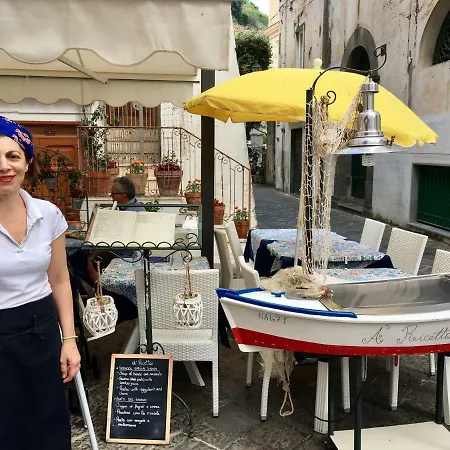 La Conchiglia